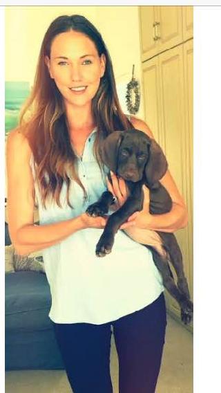 doggy day care somerset west