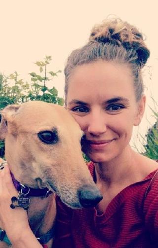 whippet home boarding