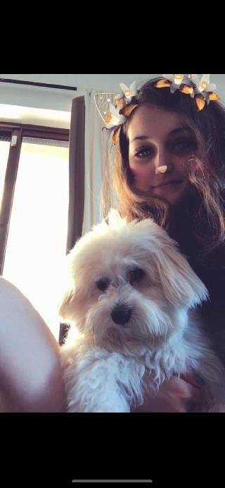 Pet Daycare in East London, London Emma's Dwaggy Boarding