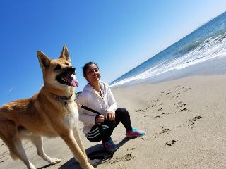 Dog Walking in Holmes Avenue, Los Angeles Let's Go For A Walk