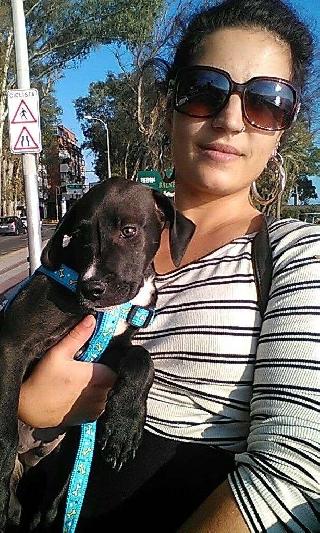 Dog Walking in Málaga Málaga Pet Care PetBacker Andalucia