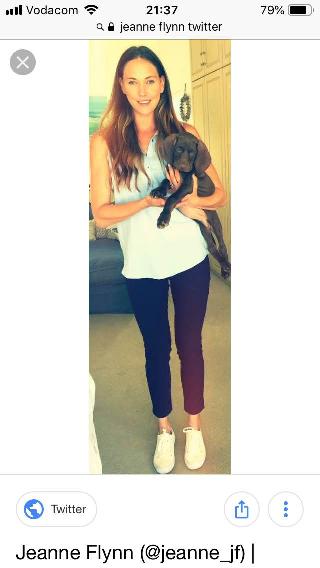 Animal Shelter Lost And Found Pets Helderberg Dog Walking In