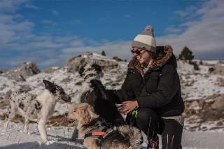 Ley, Pet Walker in Msida