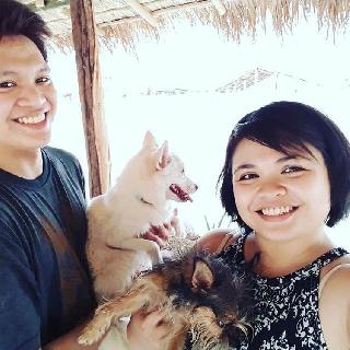 overnight cat boarding near me