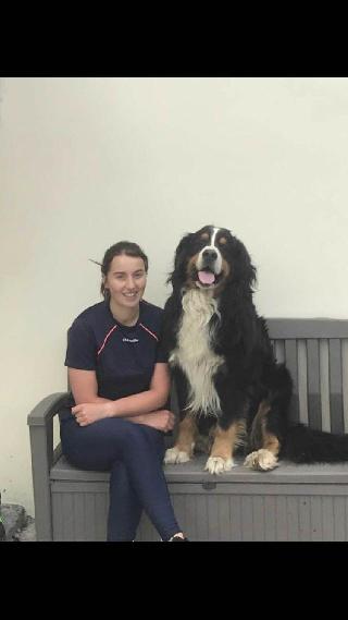 Dog Grooming in Mascot,eastern towns, Mascot 577 Gardeners Road