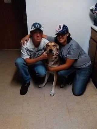 daycare for cats near me