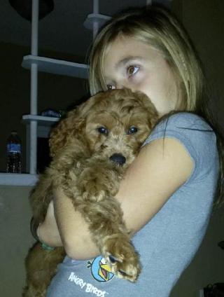 cat sitter etobicoke