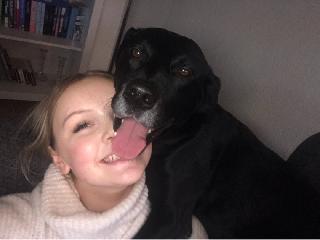 kennel boarding prices near me