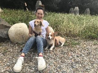 Lily, Pet Sitter in 桃園市