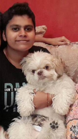 Prish_PetLover, Pet Driver in Klang