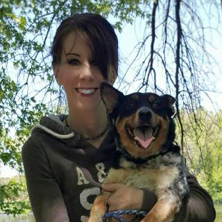 Dog Walking in Shorewood, il, Channahon Creature Comforts