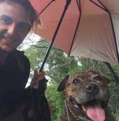 mad dogs and englishmen dog walking