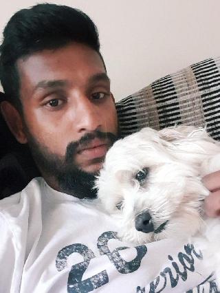 beverly hills doggie daycare