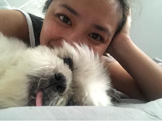 in home pet boarding near me