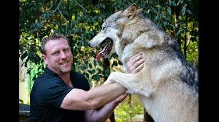 Dog, Cat Boarding in Dark Run Road, Elliston Dark Forest Kennels