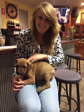 doggy daycare for puppies near me