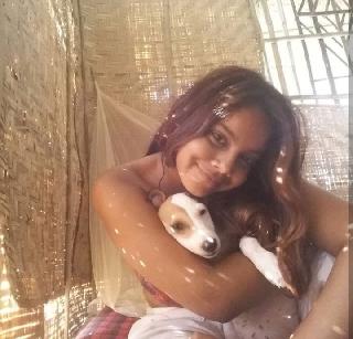 Dog Cat Sitter In Mumbai Goa Lokhandwala Market Andheri West Petbacker Maharashtra petbacker