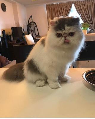#