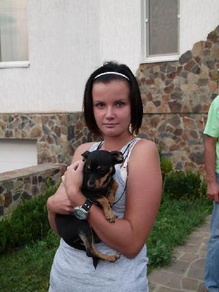 cat sitter north york