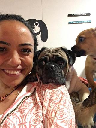 cat sitter north york