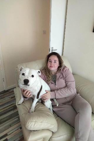 Pet Sitter in L324sx Liverpool Kayleigh's Pet Sitting PetBacker