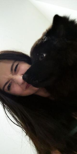 Pet Hotel Home Pet Boarding in Sunway, Subang Jaya Anna's Dog - Main Image