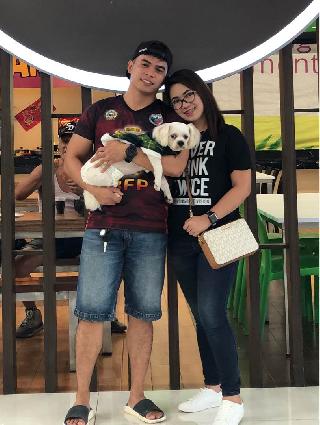 dog boarding peninsula