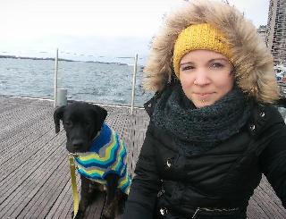 cat boarding north york