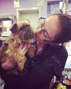 Dog Grooming in Melbourne Toorak Dog Grooming Walking By Jen