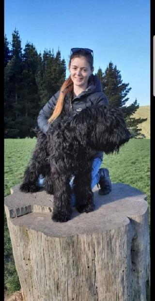 Dog Walking in Christchurch Christchurch Baileys Dog Walking