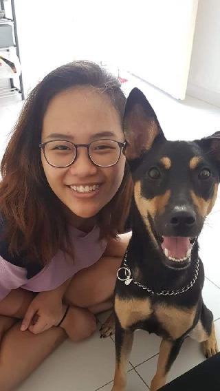 Atittaya, Pet Sitter in Singapore