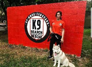 affordable dog training classes near me