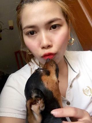 dog walker in my area