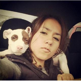 Pet Taxi Transport in Drumcondra Dublín9, Dublin Drumcondra