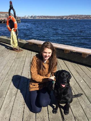 happy feet dog walking