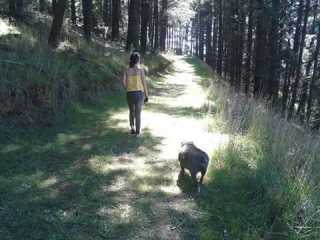 Chanel, Pet Walker in Nairne