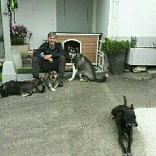 Dog, Cat Hotel Home Pet Boarding in Zurich airport, Niederglatt