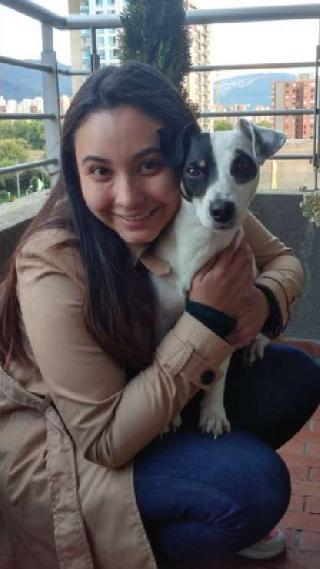 all pet solutions harness