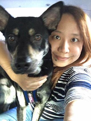 Rachel, Pet Sitter in New Taipei City