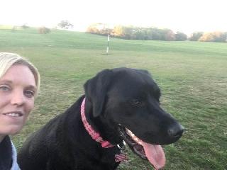 Dog Walking in Wells Road, Bristol BS14 Happy Paws Dog Walking