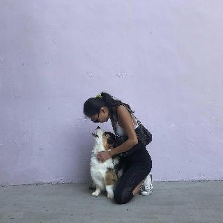 Esther, Pet Walker in Clementi