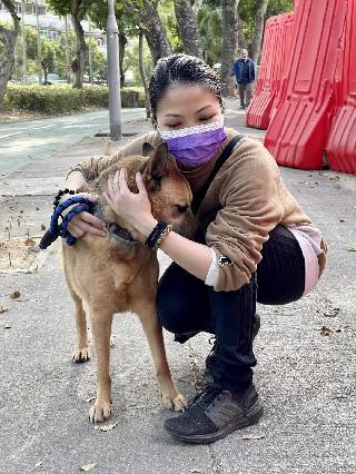 Fanny, Pet Walker in 大埔