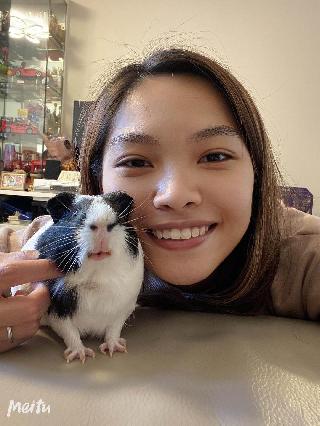 Pet Boarding in Hobart, North Hobart Hobart Sweet Home For Small