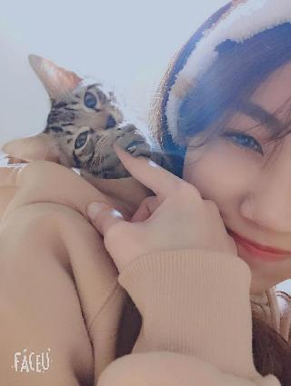 Cady, Pet Sitter in 東區