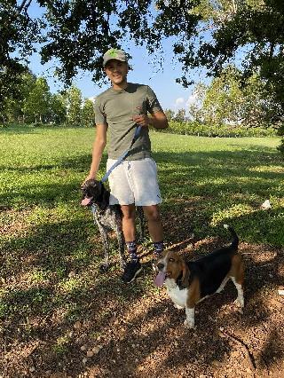 Dog Walking in Pipers Road, Sandton Douglasdale/bryanston