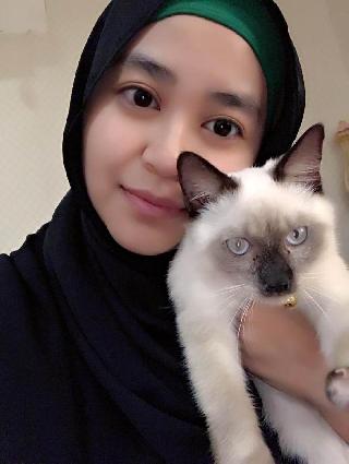 Pet Training in Jalan Pelangi 2, Sentul Pasar Little Paws Pet