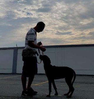 dog behaviorist training near me