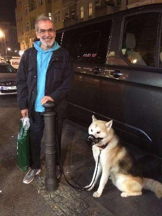 Sam, Pet Driver in Berlin