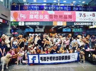 pet sitting places near me