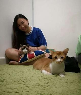 Bell, Pet Boarder in Petaling Jaya